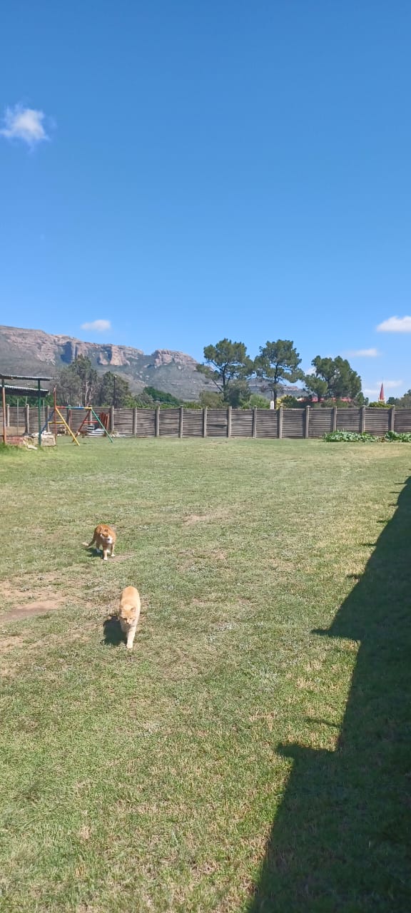 2 Bedroom Property for Sale in Matlakeng Free State